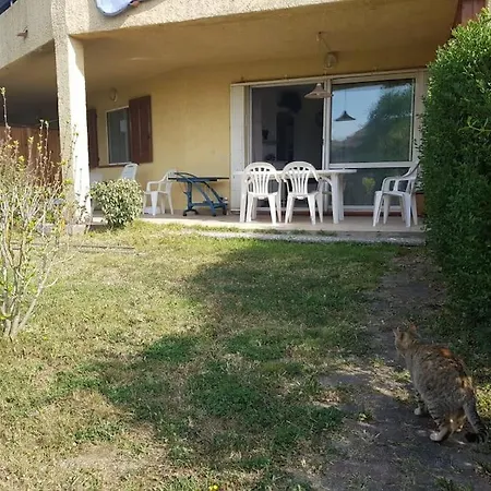 Bonheur En Bord De