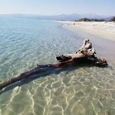 Bonheur En Bord De * Гизоначча