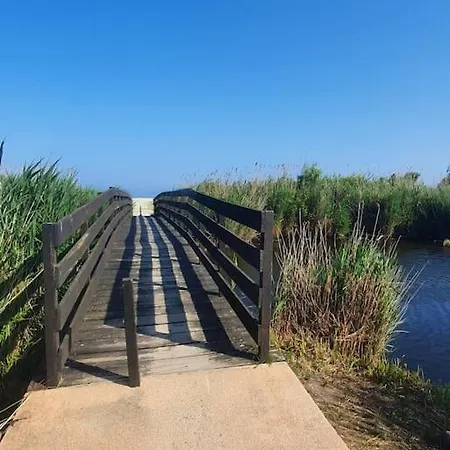 Bonheur En Bord De Ghisonaccia