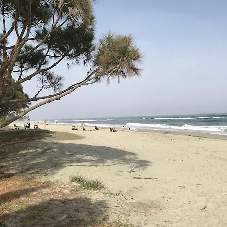 Bonheur En Bord De *