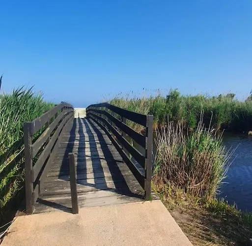 Bonheur En Bord De Ghisonaccia