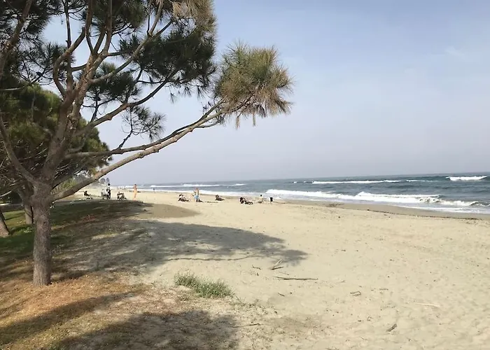 Bonheur En Bord De *