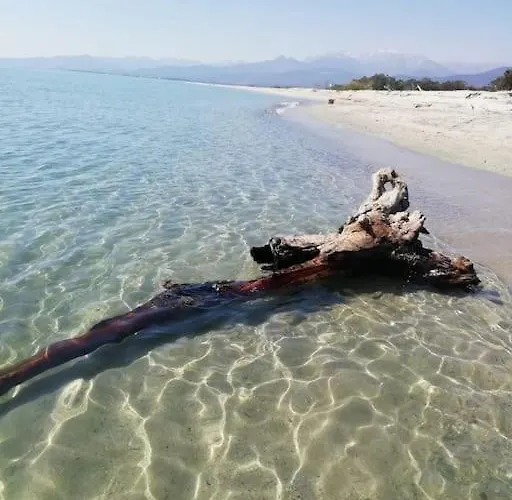 Bonheur En Bord De * Ghisonaccia